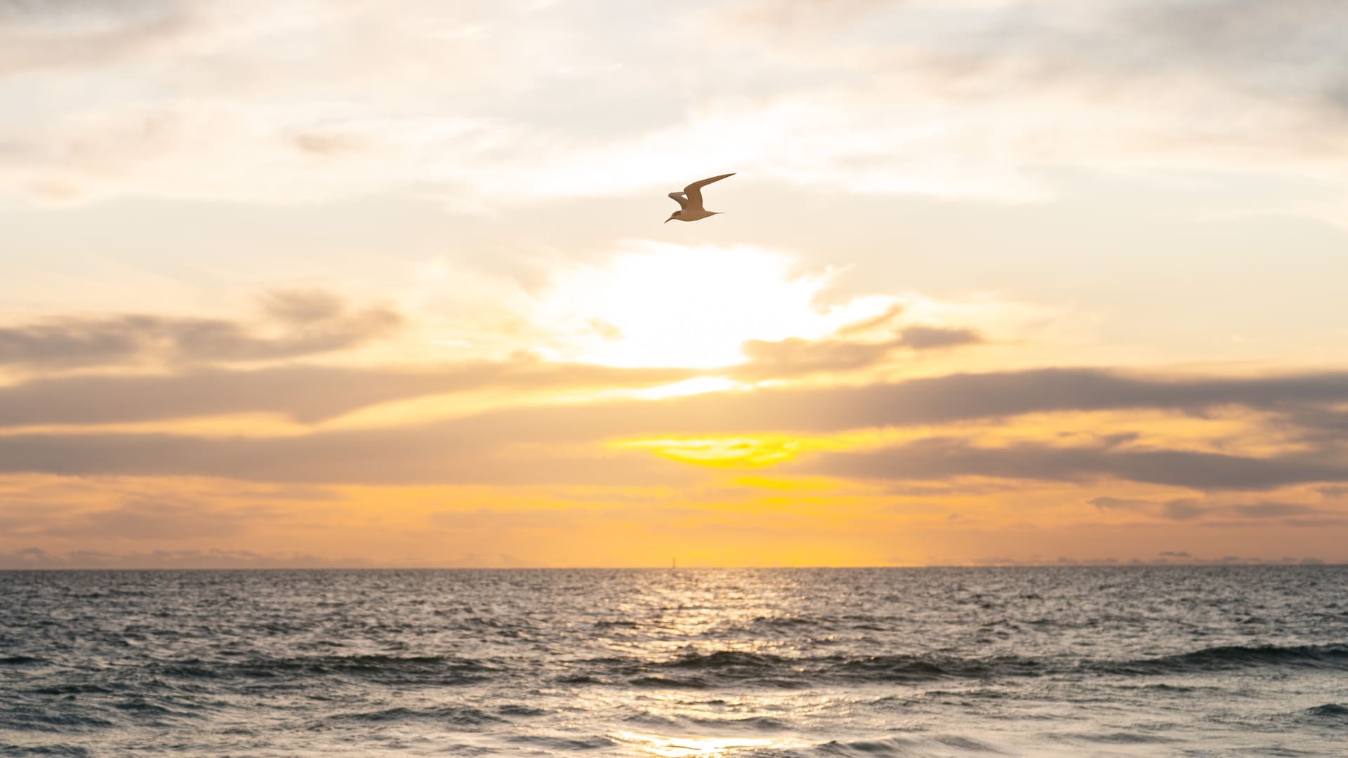 The power of forgiveness and letting go for emotional freedom